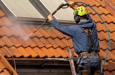 Démoussage et hydrofuge de toiture à Arboussols